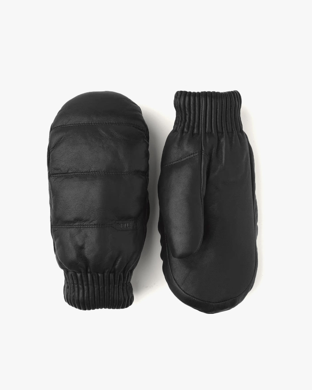 Hestra | Valdres Mitt