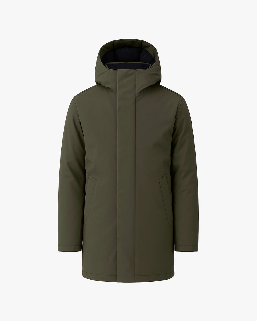 default:Olive|fr:Olive