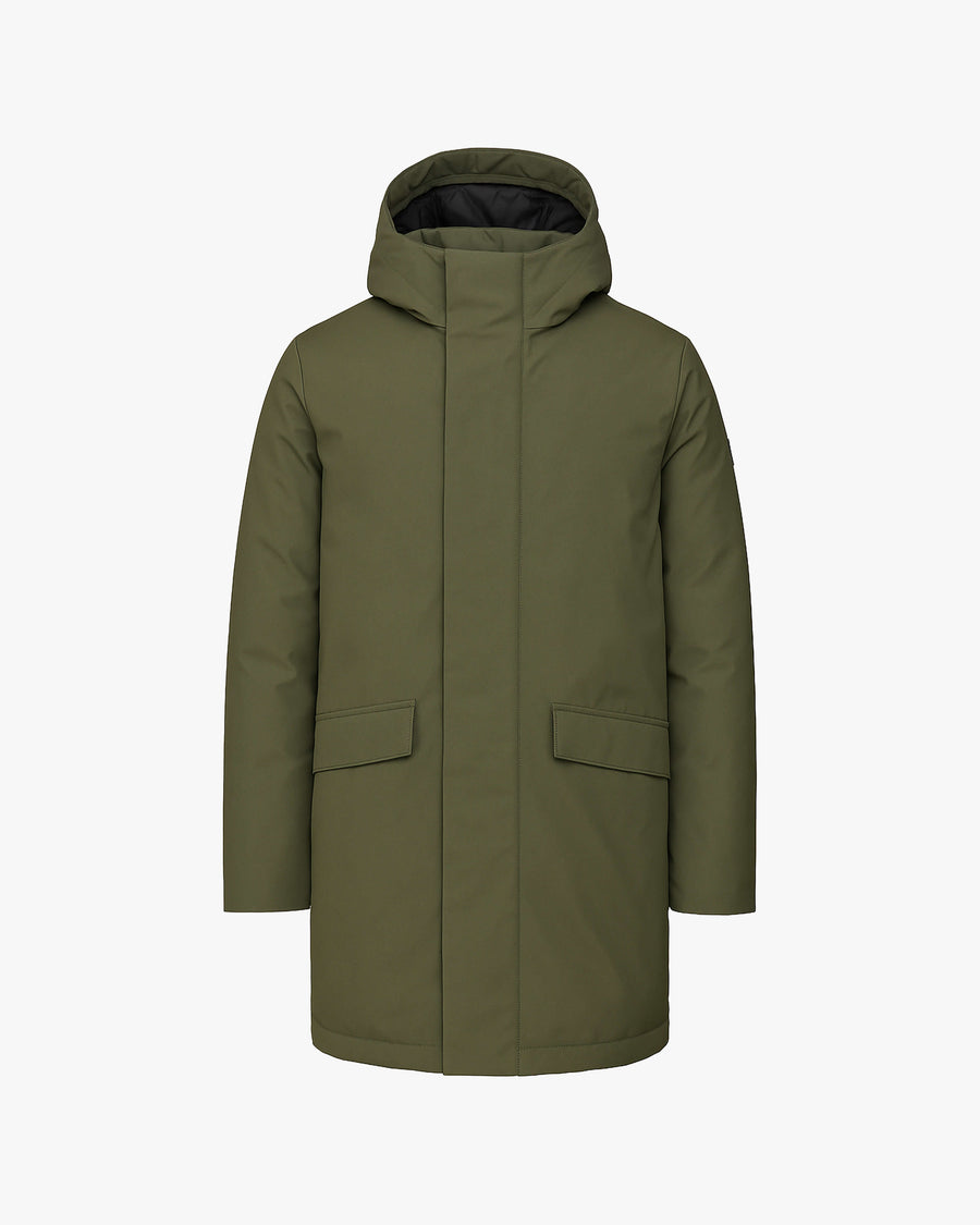 default:Olive|fr:Olive