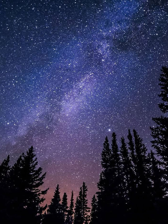 Night sky full of stars with forest trees around.